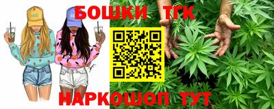 индика Обь