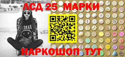 индика Обь