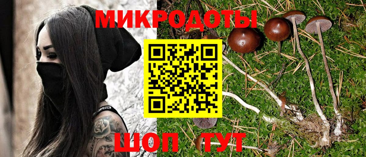 Томск  Галлюциногенные грибы GOLDEN TEACHER  Вход с VPN 
