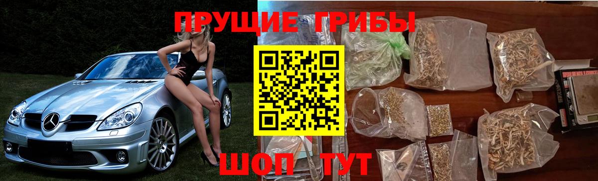 Галлюциногенные грибы ЛСД Томск